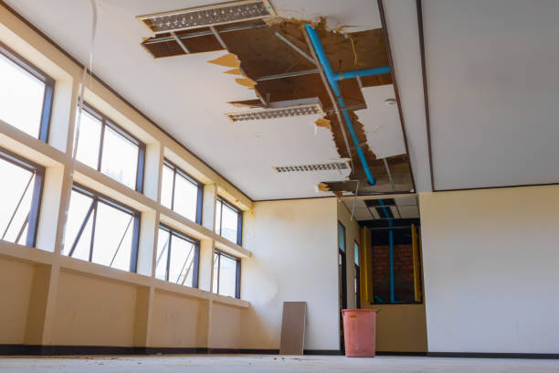 Best Local water damage restoration  in Trenton, GA