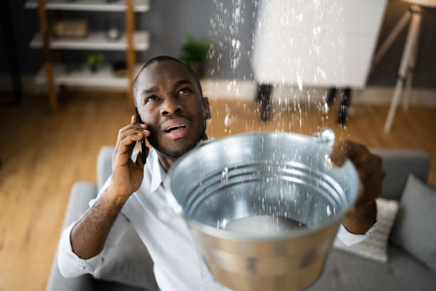Best Mold removal after water damage  in Trenton, GA
