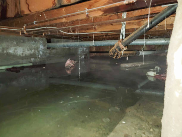 Best Flood restoration services  in Trenton, GA