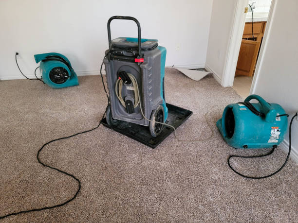 Best Water damage restoration near me  in Trenton, GA