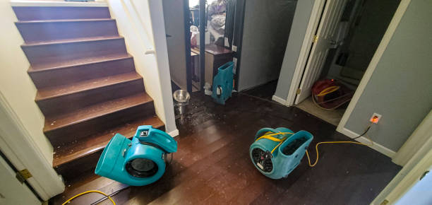 Best Commercial water damage restoration  in Trenton, GA