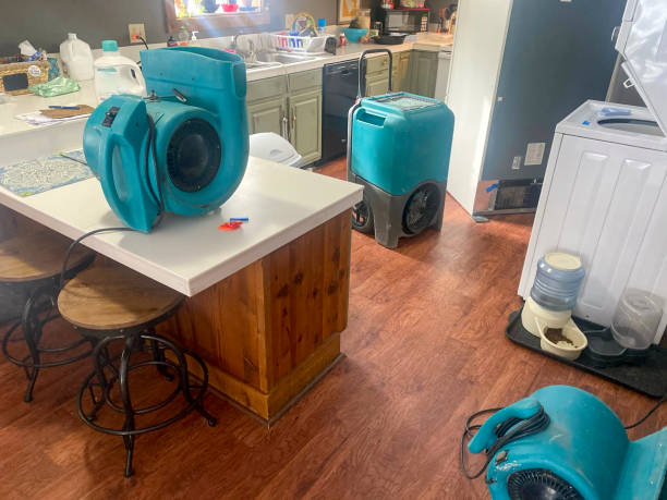 Best Water damage contractors near me  in Trenton, GA