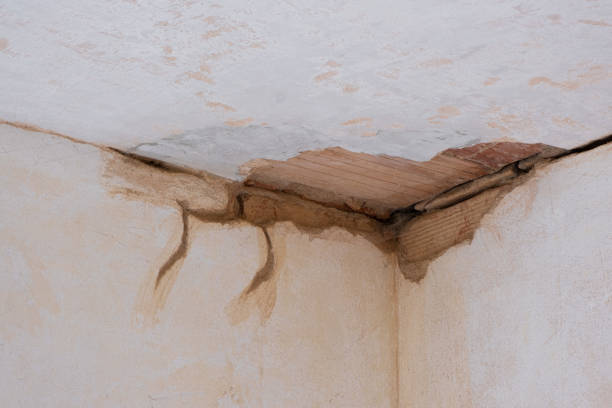 Best Water damage restoration services  in Trenton, GA