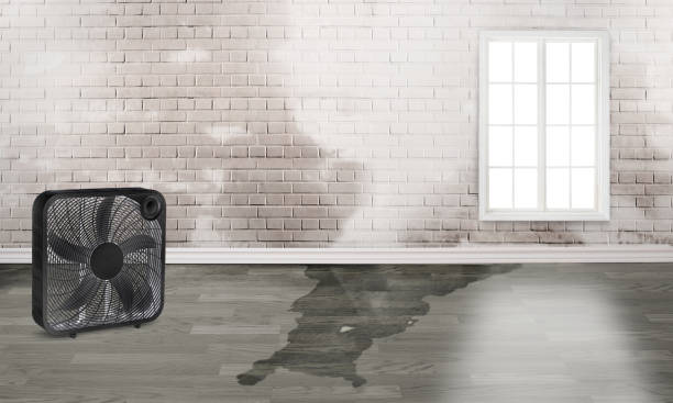 Best Sewage cleanup and water damage restoration  in Trenton, GA