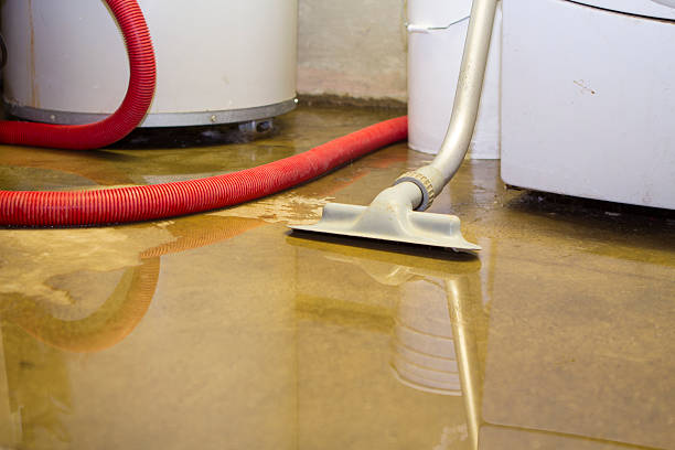 Best Water damage restoration company  in Trenton, GA