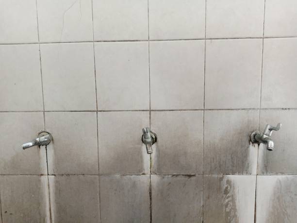 Best Water damage cleanup near me  in Trenton, GA