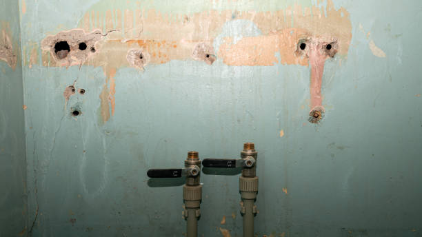 Best Ceiling water damage repair  in Trenton, GA